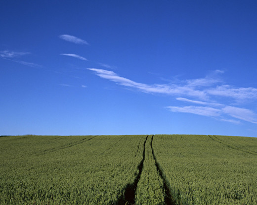 42282 (a): :1280x1024